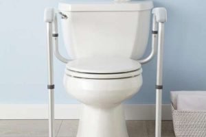 Toilet with support rails for accessibility.