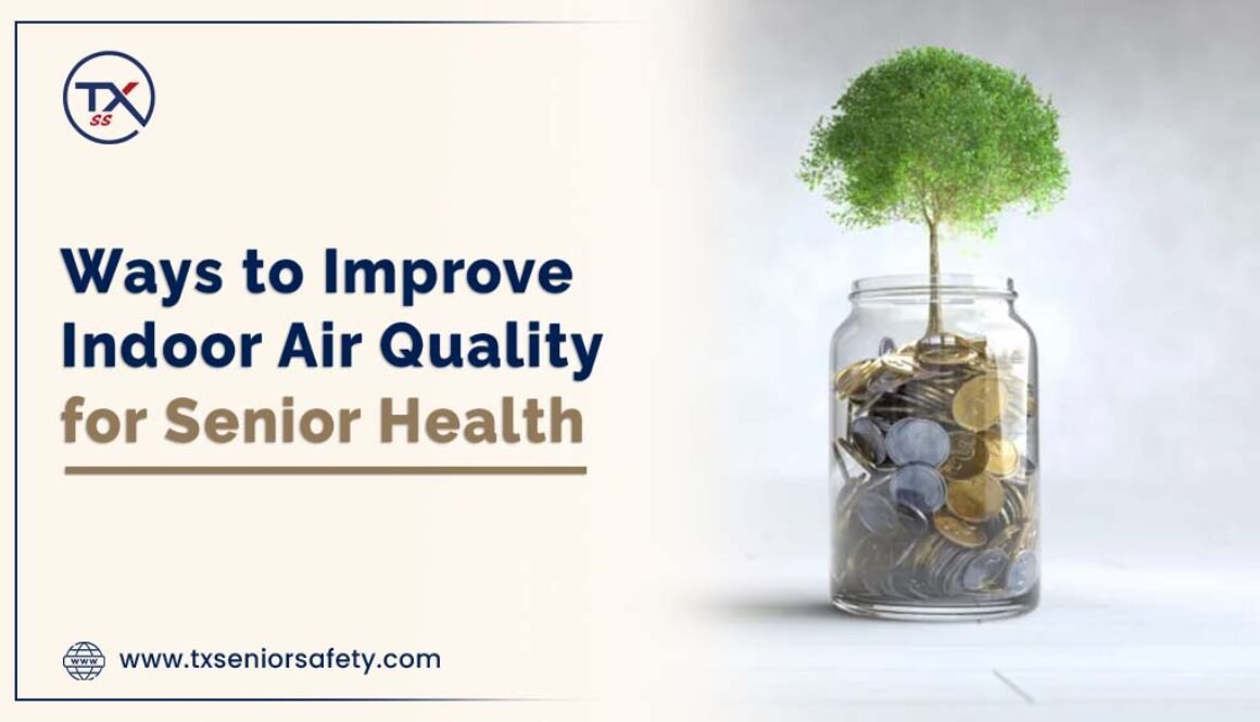 ways to improve indoor air quality for senior health